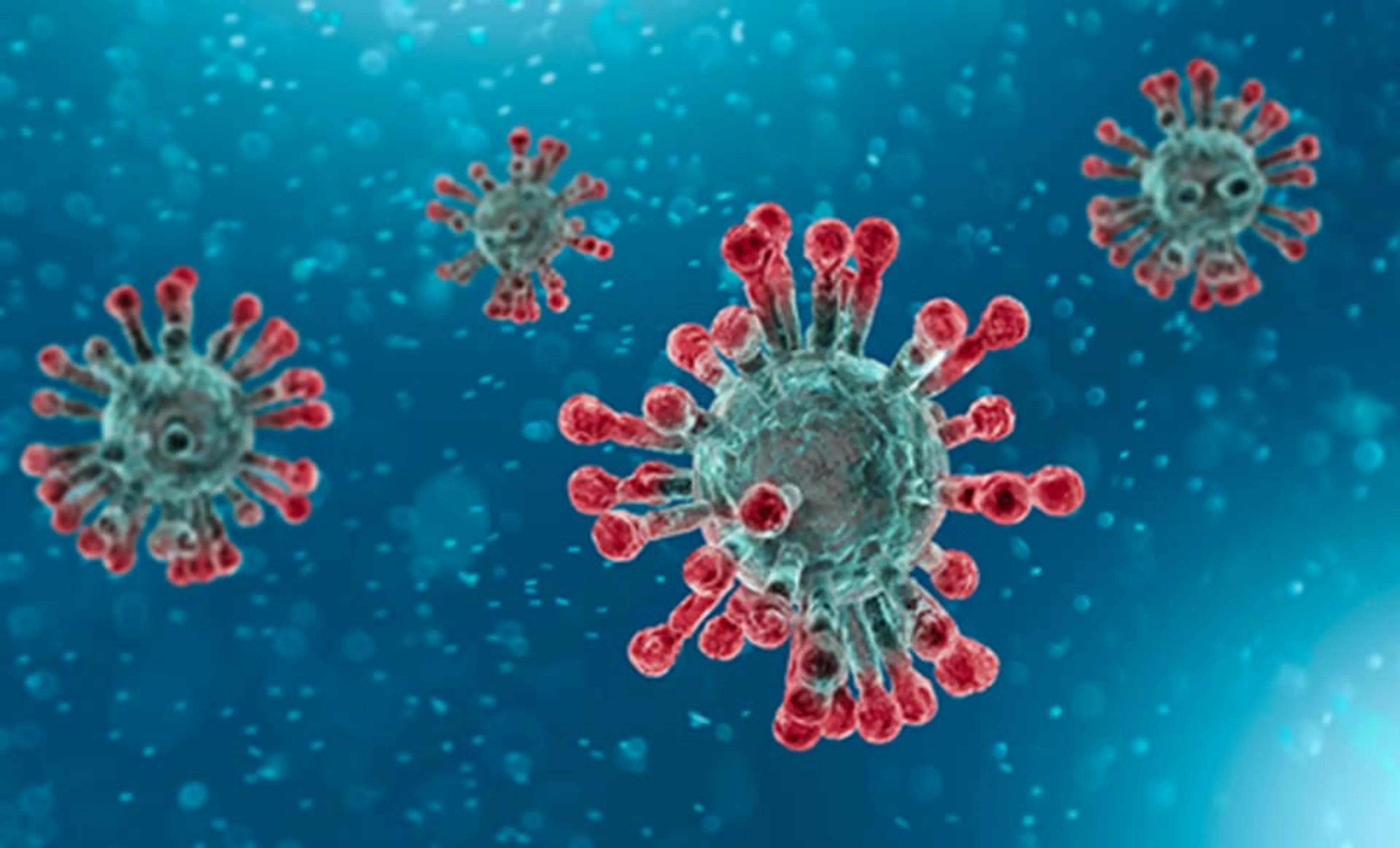 Coronavirus Update 1st April