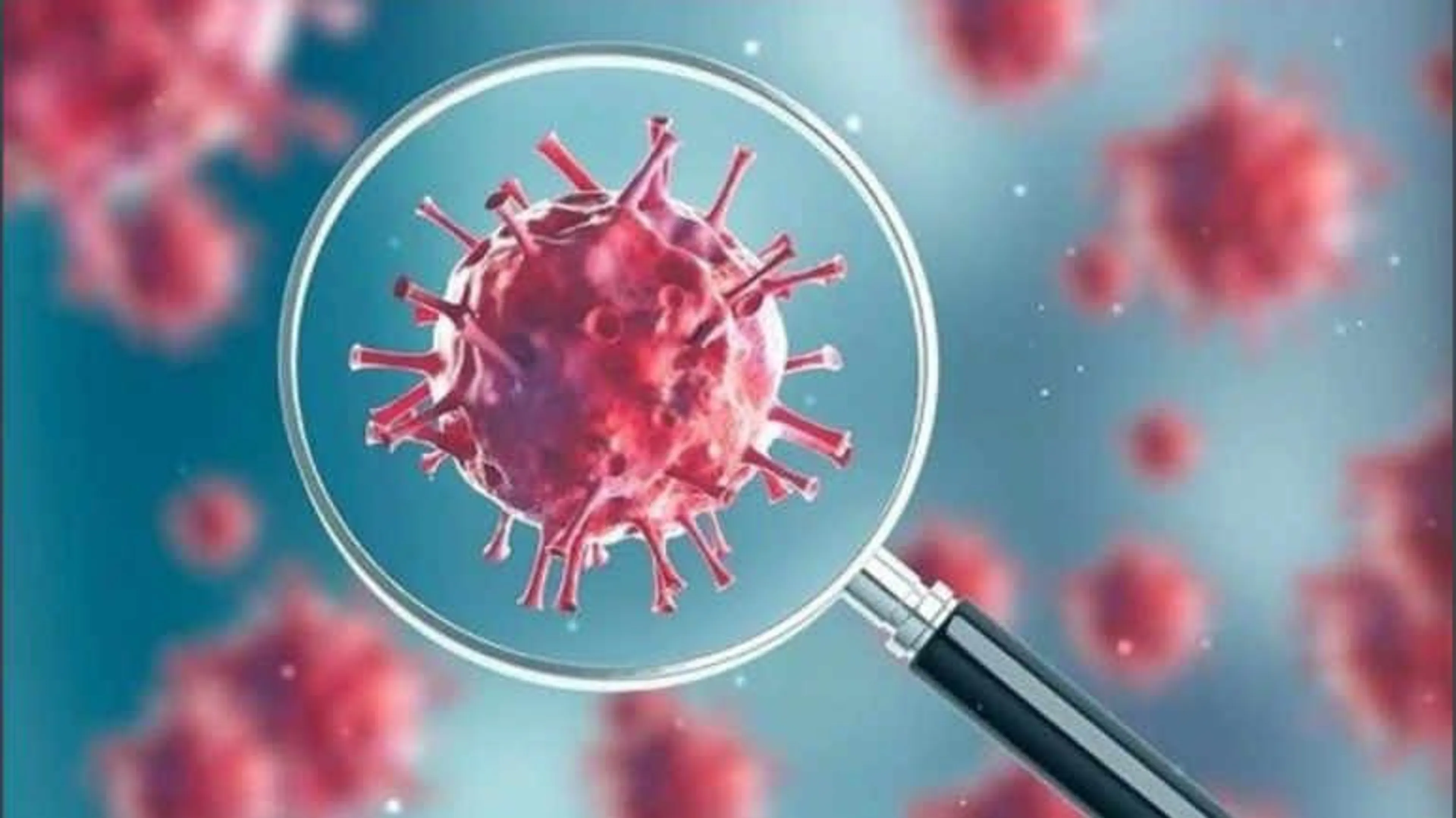 Coronavirus Update